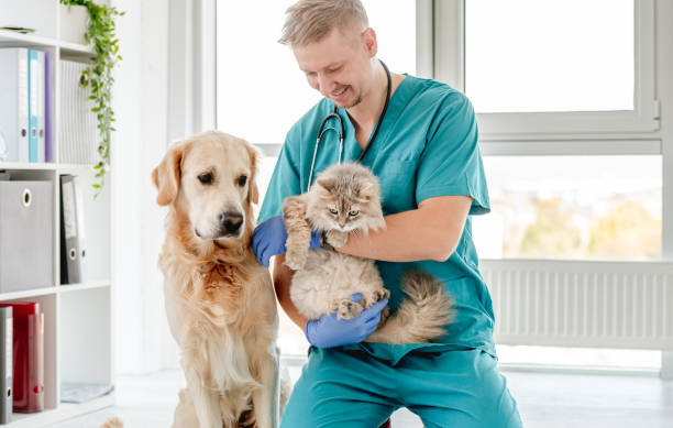 Ethan Barrett with Gus and Mochi